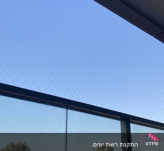 רשת למניעת כניסת יונים על חלון זכוכית